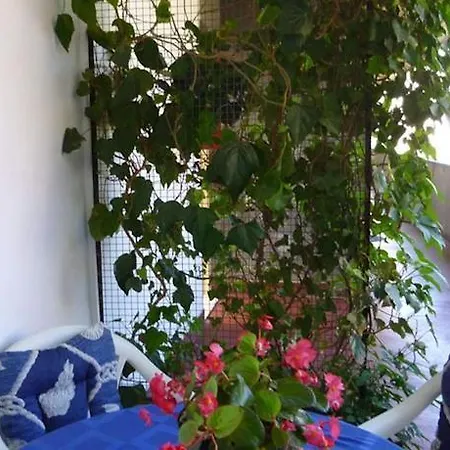 Spacious And Close To The City Center Apartment Split